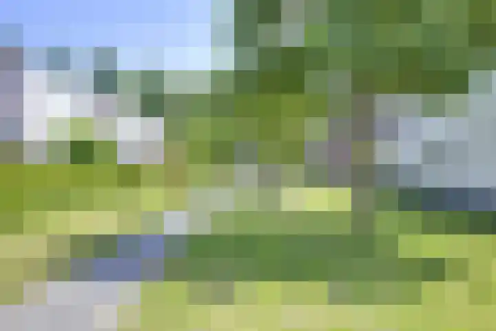 Polderhoeve 36 Nieuwegein thumbnail 80