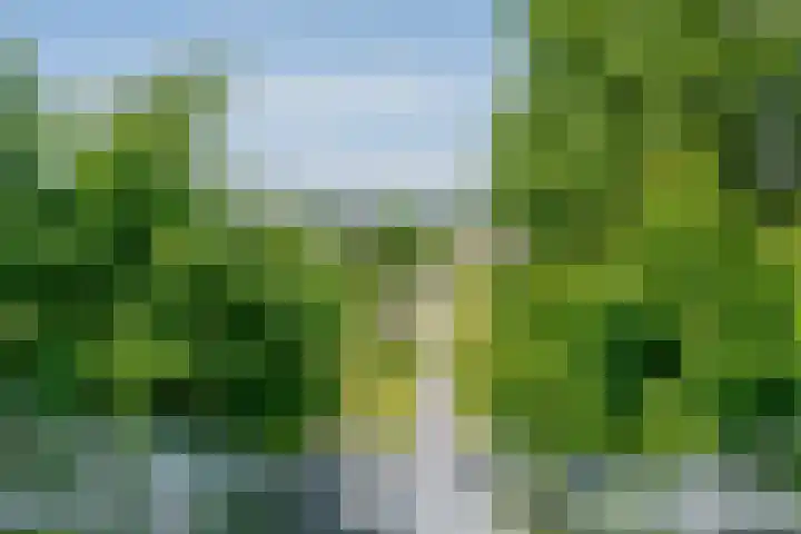 Polderhoeve 36 Nieuwegein thumbnail 85