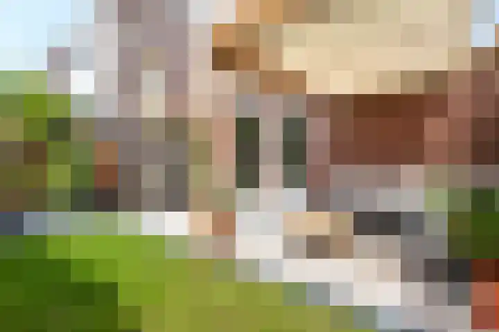 Polderhoeve 42 Nieuwegein thumbnail 29