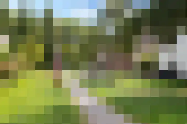 Polderhoeve 42 Nieuwegein thumbnail 39