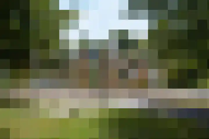 Polderhoeve 42 Nieuwegein thumbnail 41