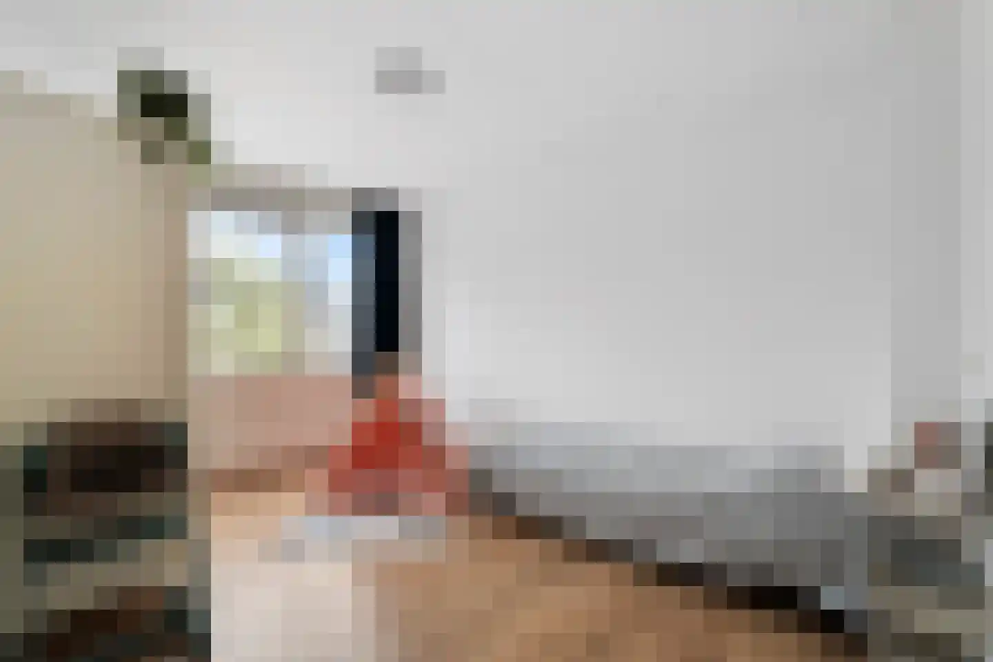 Polderhoeve 5 Anna Paulowna thumbnail 22
