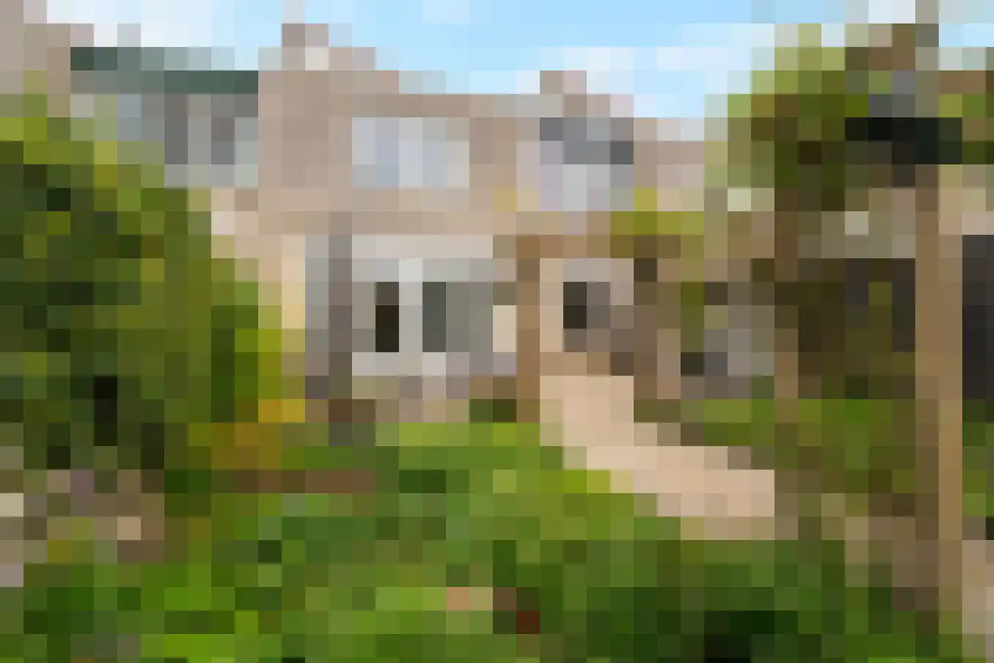 Polderhoeve 5 Anna Paulowna thumbnail 33