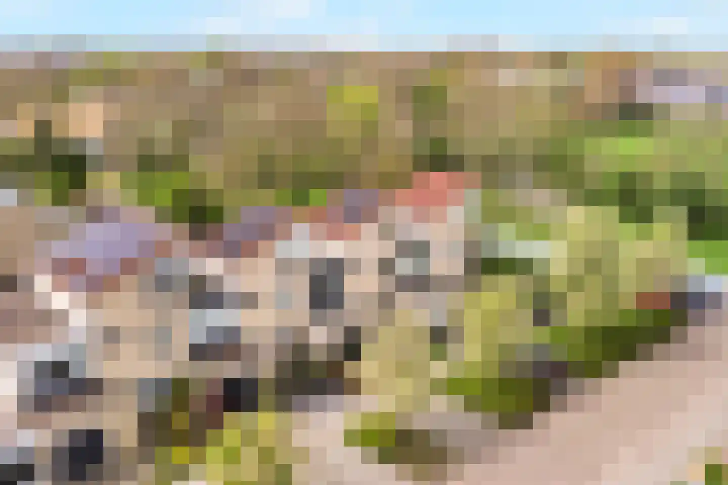 Polderhoeve 5 Anna Paulowna thumbnail 6