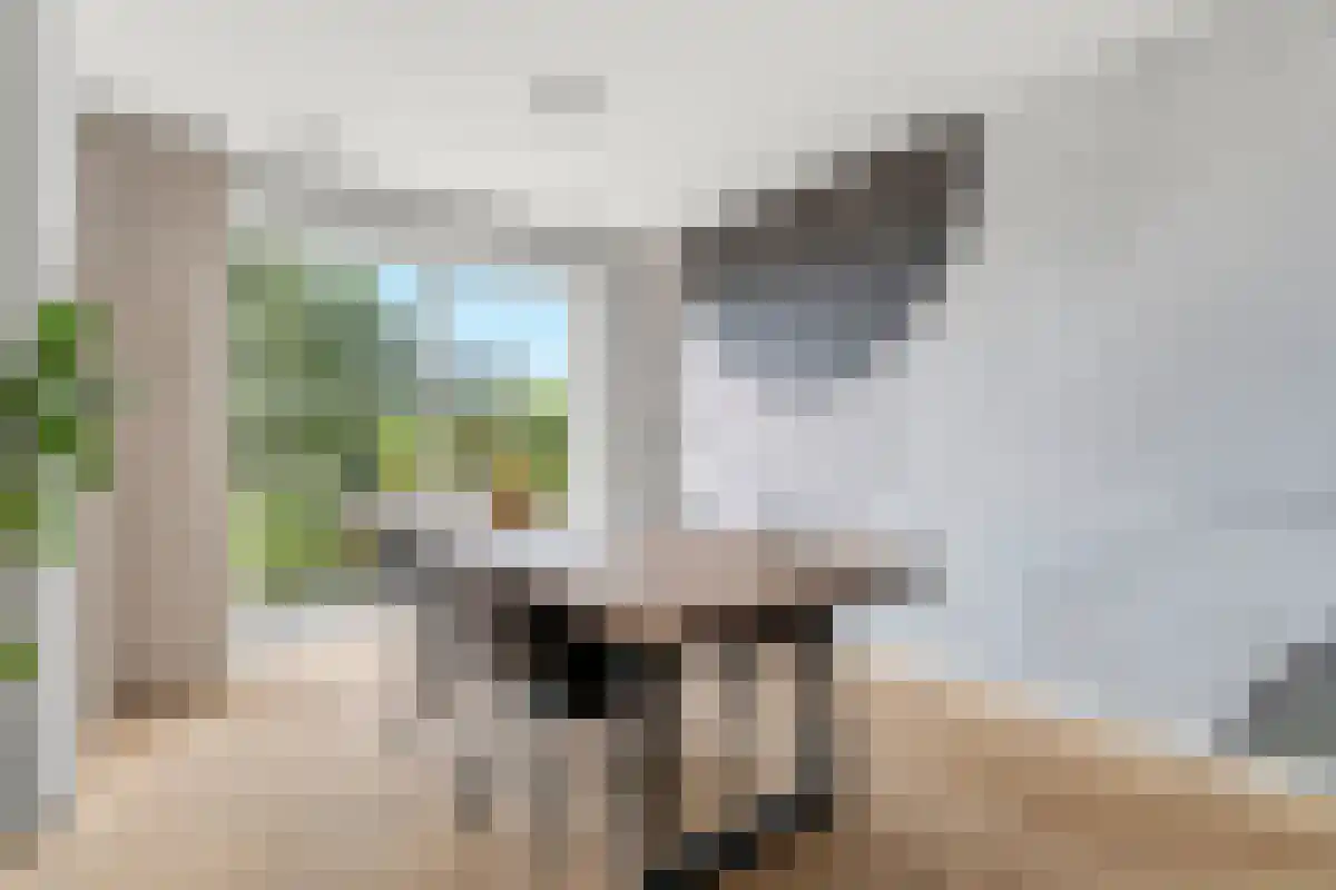 Polderlaan 11 Leimuiden thumbnail 6