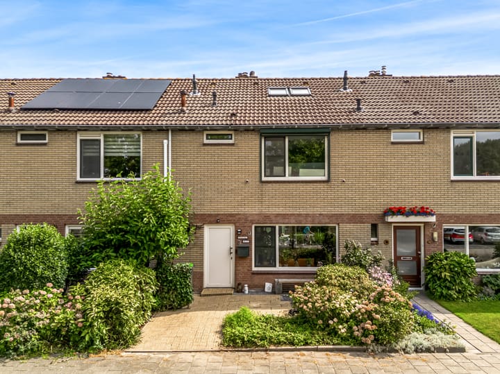 Polderlaan 117 in Geervliet Foto
