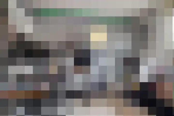 Polderlaan 117 Geervliet thumbnail 19