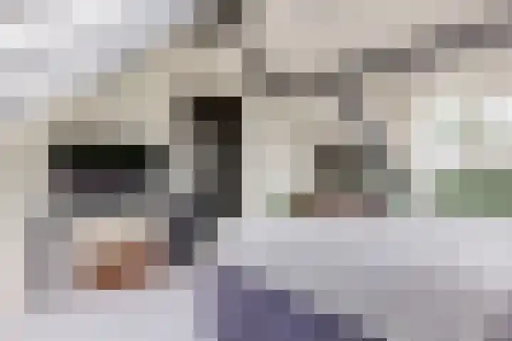 Polderlaan 117 Geervliet thumbnail 22