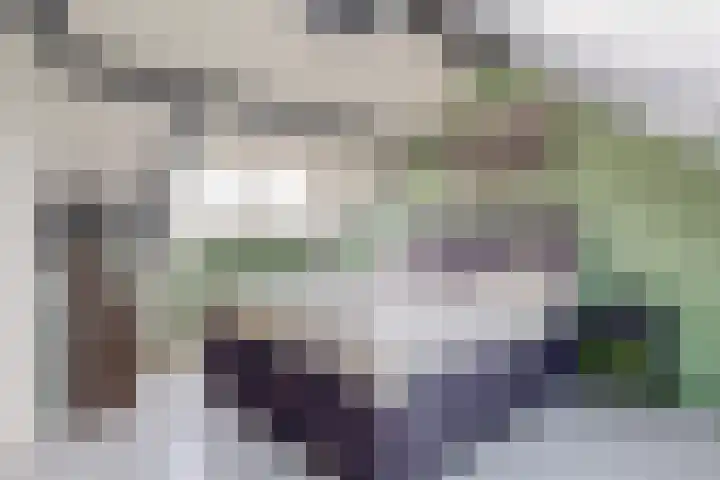 Polderlaan 117 Geervliet thumbnail 23