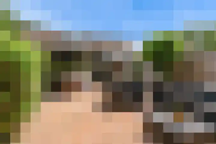 Polderlaan 117 Geervliet thumbnail 25