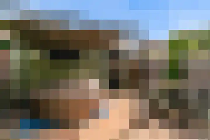 Polderlaan 117 Geervliet thumbnail 27