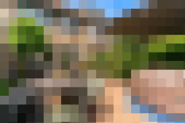 Polderlaan 117 Geervliet thumbnail 28