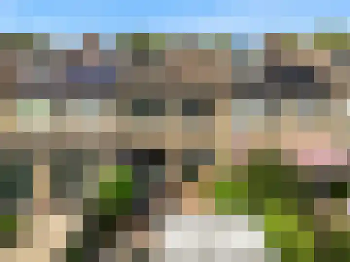 Polderlaan 117 Geervliet thumbnail 5
