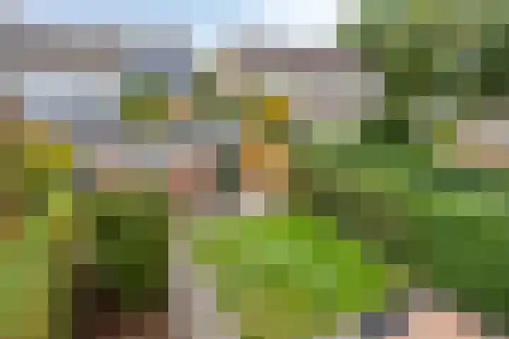 Polderlaan 121 Geervliet thumbnail 20