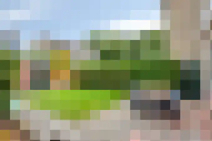 Polderlaan 121 Geervliet thumbnail 21