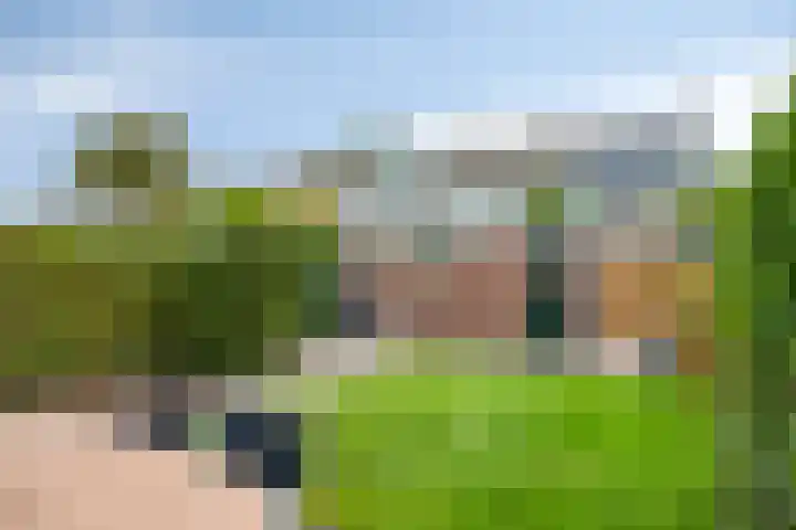 Polderlaan 121 Geervliet thumbnail 22