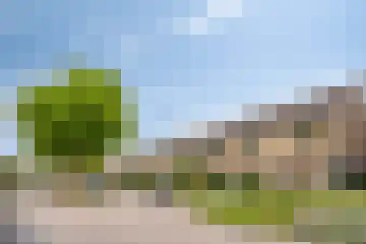 Polderlaan 121 Geervliet thumbnail 26