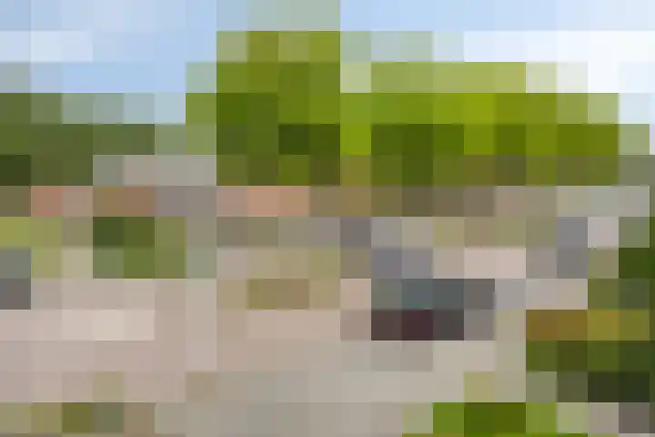 Polderlaan 121 Geervliet thumbnail 27