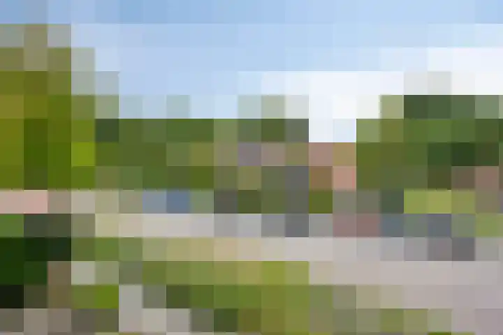 Polderlaan 121 Geervliet thumbnail 28