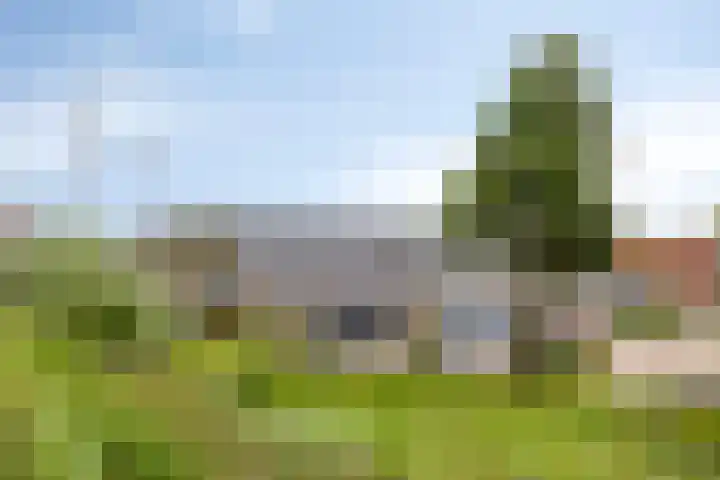 Polderlaan 121 Geervliet thumbnail 29