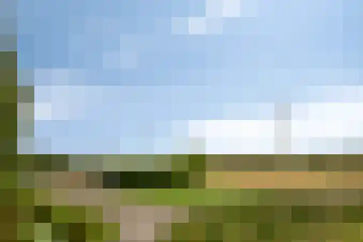 Polderlaan 121 Geervliet thumbnail 30