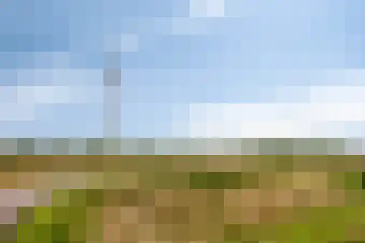 Polderlaan 121 Geervliet thumbnail 31