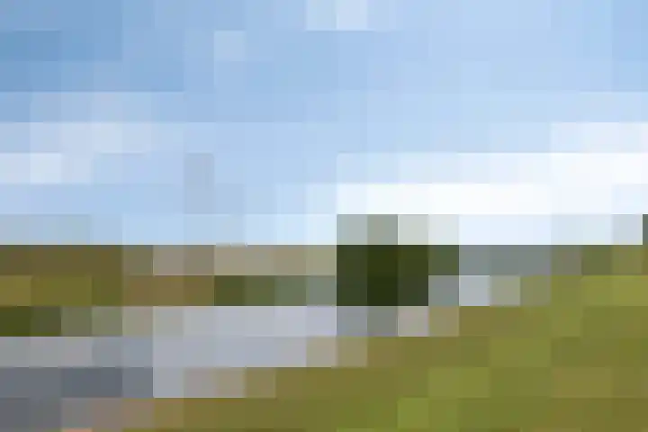 Polderlaan 121 Geervliet thumbnail 32