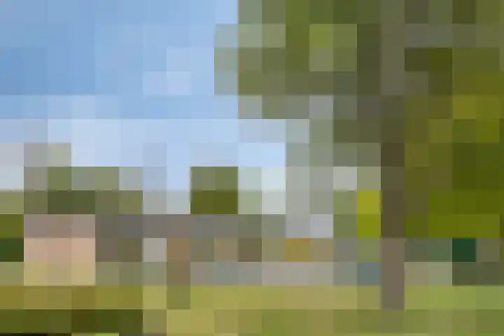 Polderlaan 121 Geervliet thumbnail 33