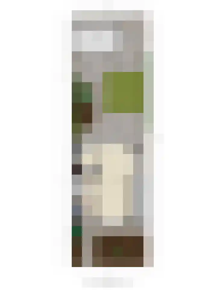 Polderlaan 121 Geervliet thumbnail 35
