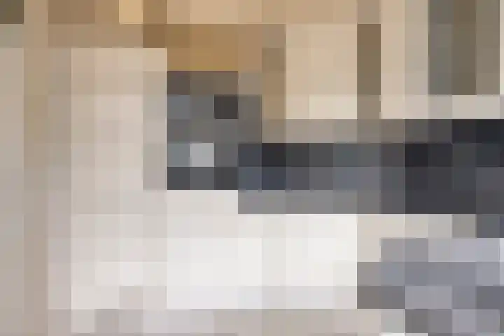 Polderlaan 121 Geervliet thumbnail 6