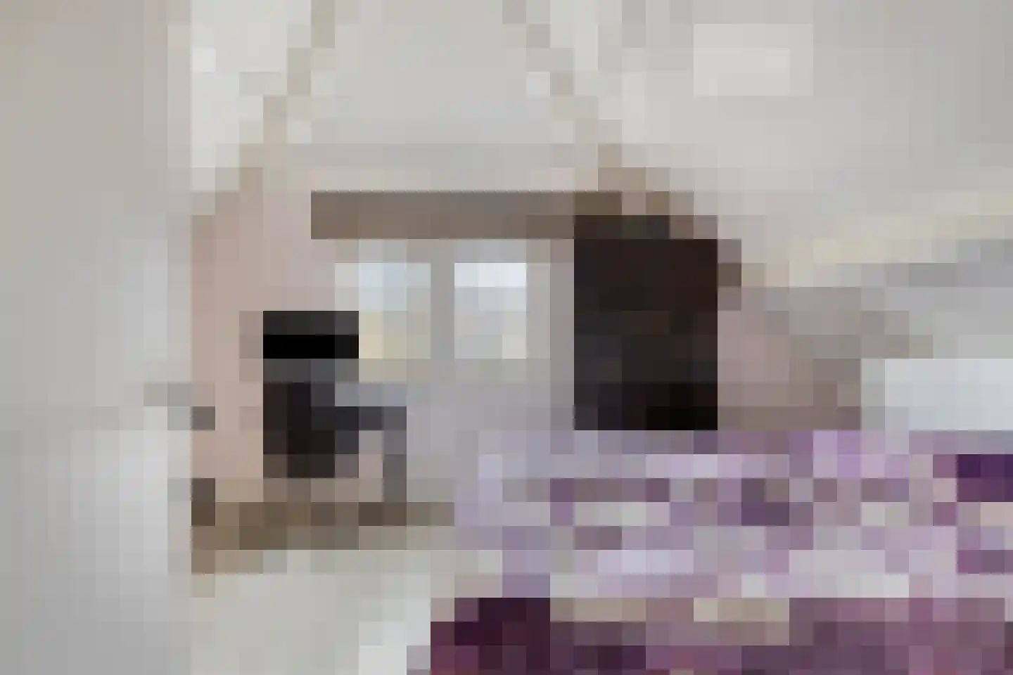 Polderlaan 13 Middelharnis thumbnail 18