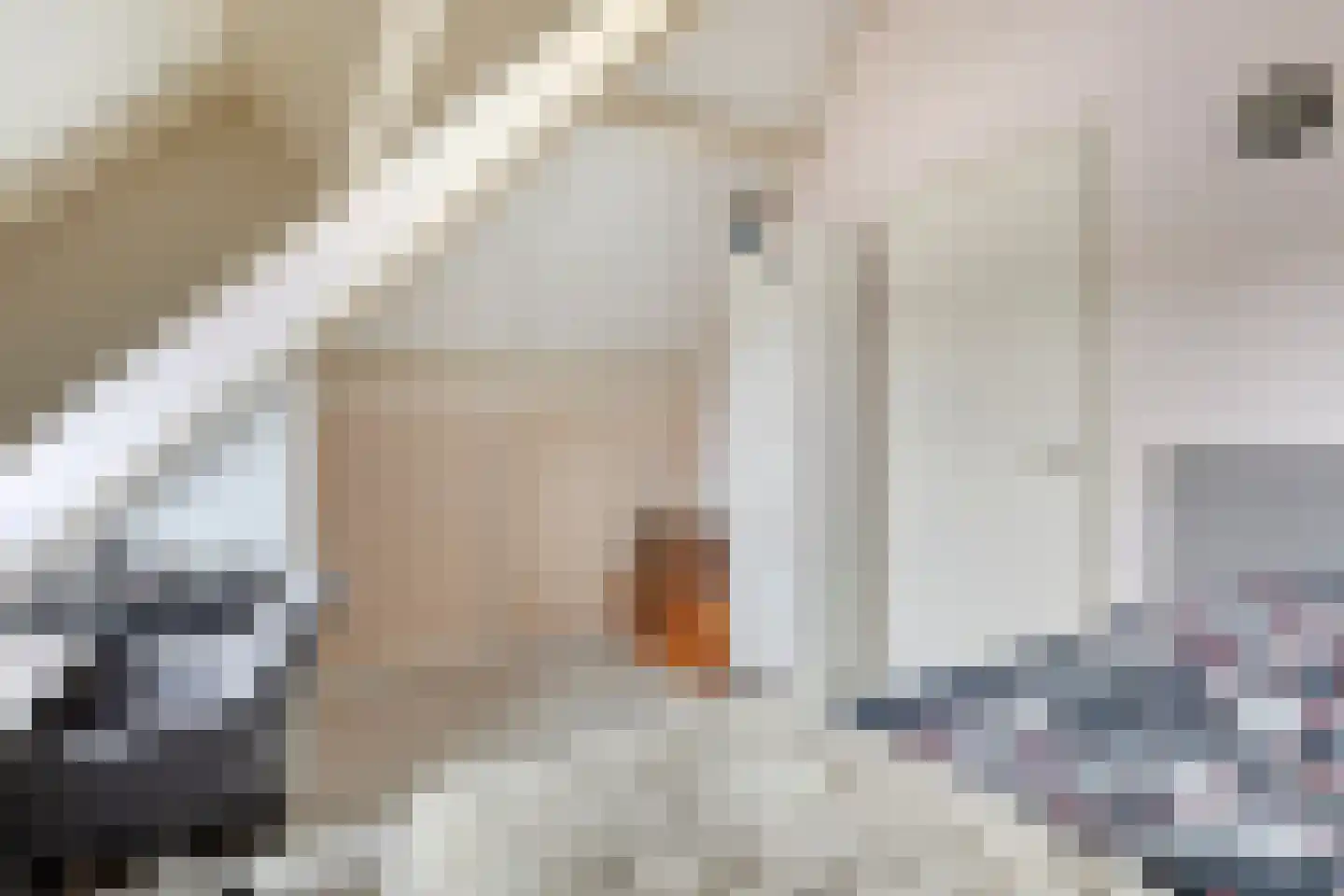 Polderlaan 13 Middelharnis thumbnail 23