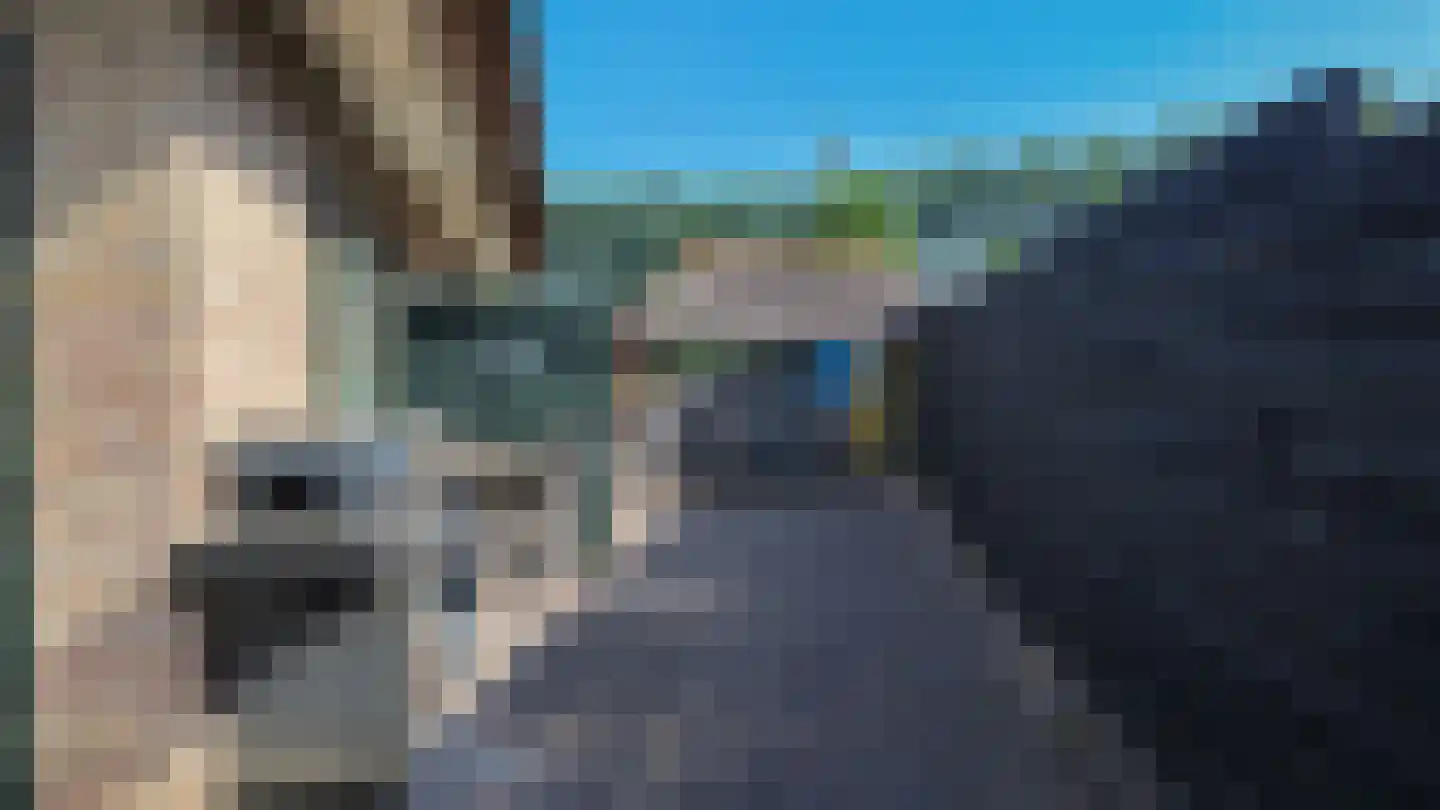 Polderlaan 13 Middelharnis thumbnail 30