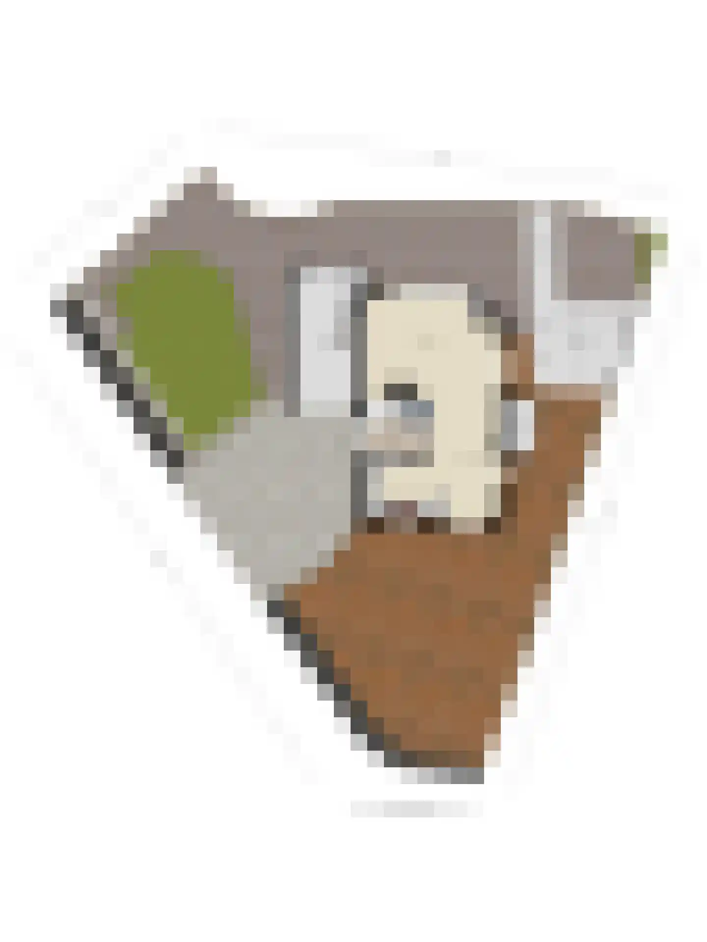 Polderlaan 13 Middelharnis thumbnail 47