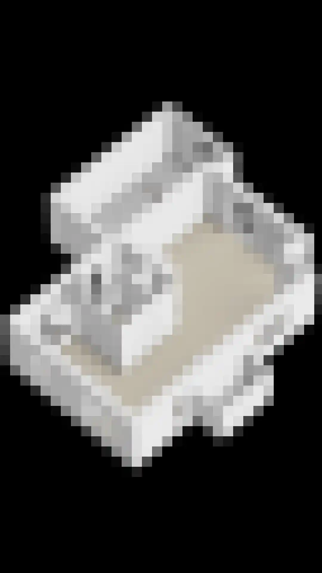Polderlaan 13 Middelharnis thumbnail 52