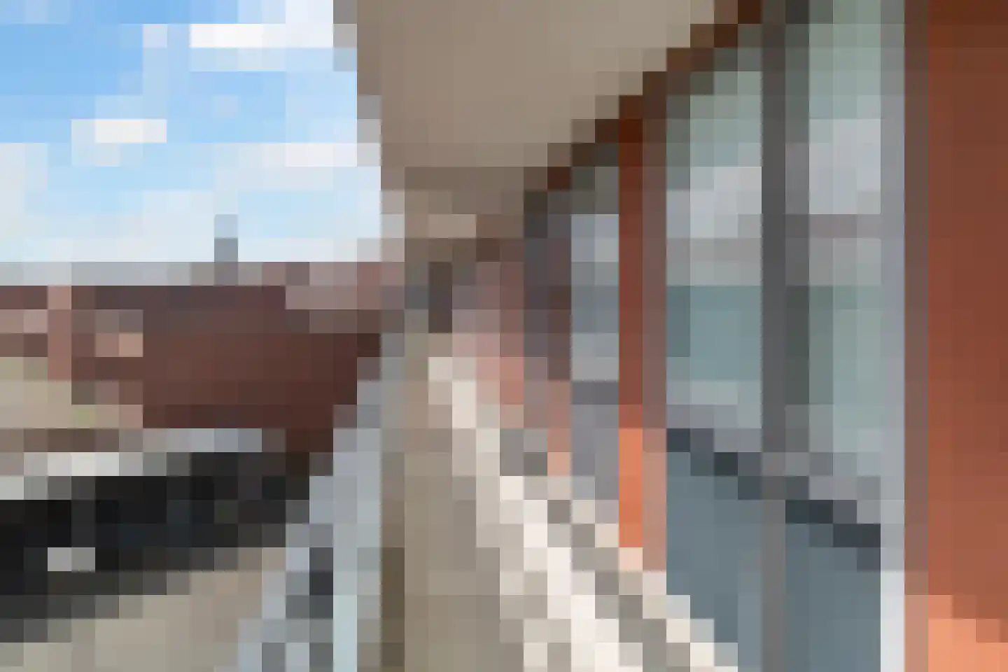 Polderlaan 14 D Rotterdam thumbnail 17