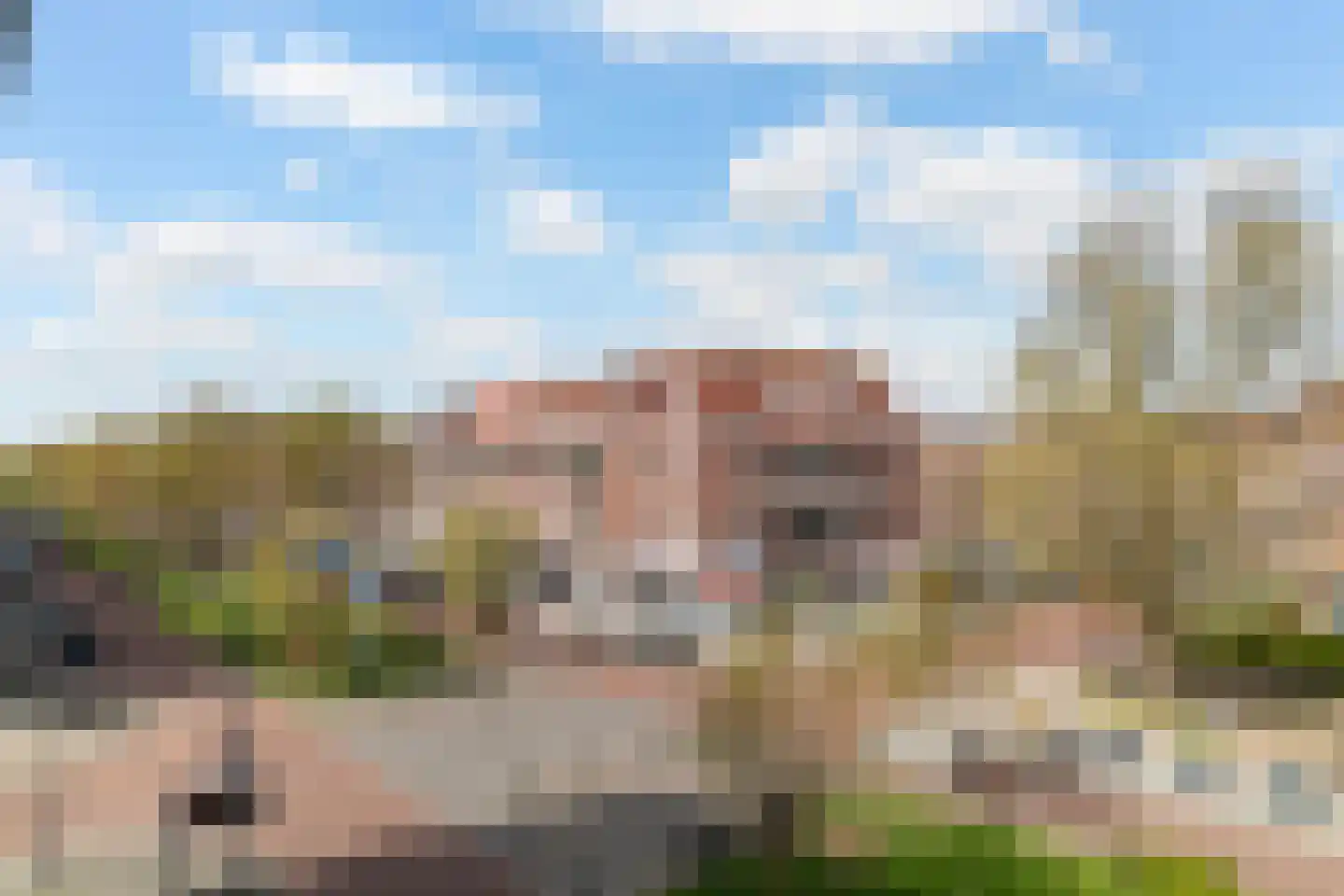Polderlaan 14 D Rotterdam thumbnail 18
