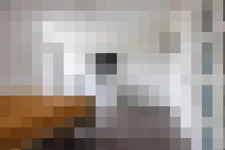 Polderlaan 14 F Rotterdam thumbnail 19