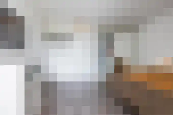 Polderlaan 14 F Rotterdam thumbnail 21