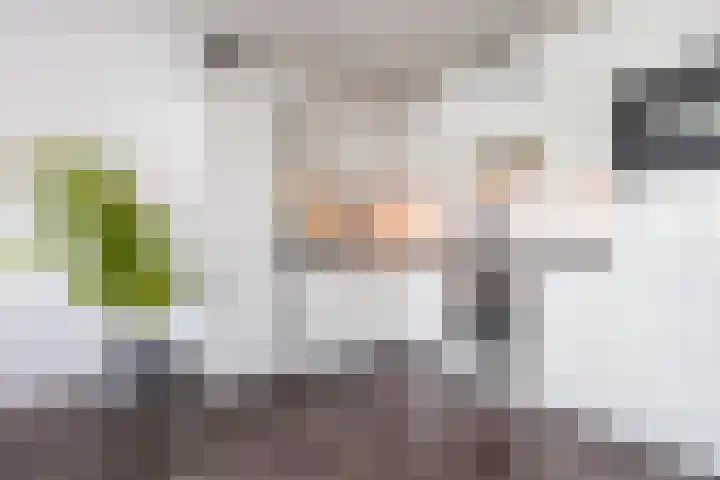 Polderlaan 14 F Rotterdam thumbnail 8