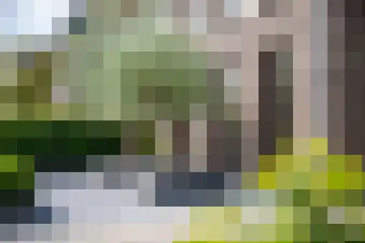 Polderlaan 17 Leimuiden thumbnail 12