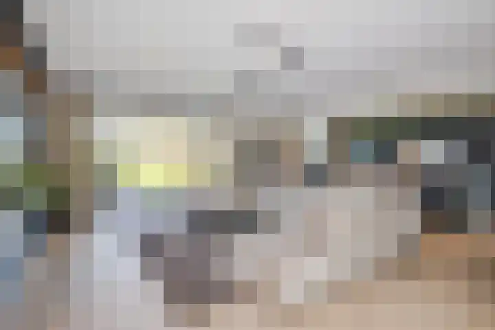 Polderlaan 17 Leimuiden thumbnail 16