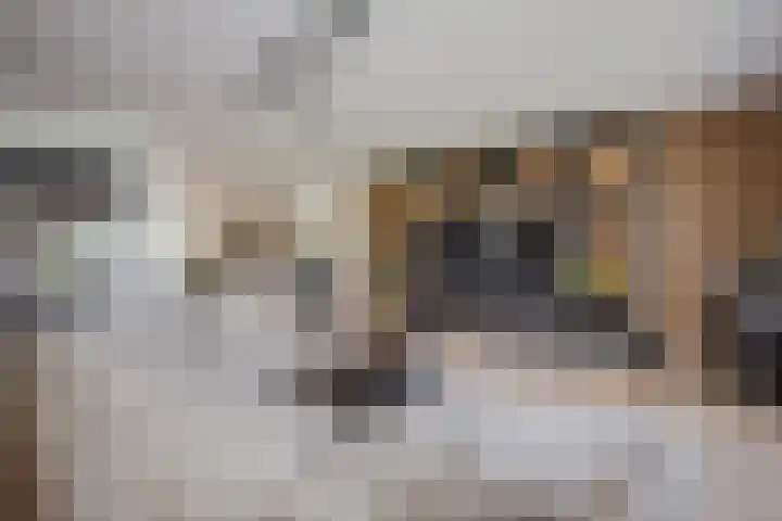 Polderlaan 17 Leimuiden thumbnail 19