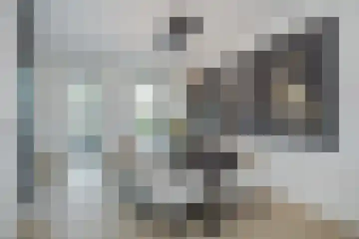 Polderlaan 17 Leimuiden thumbnail 24
