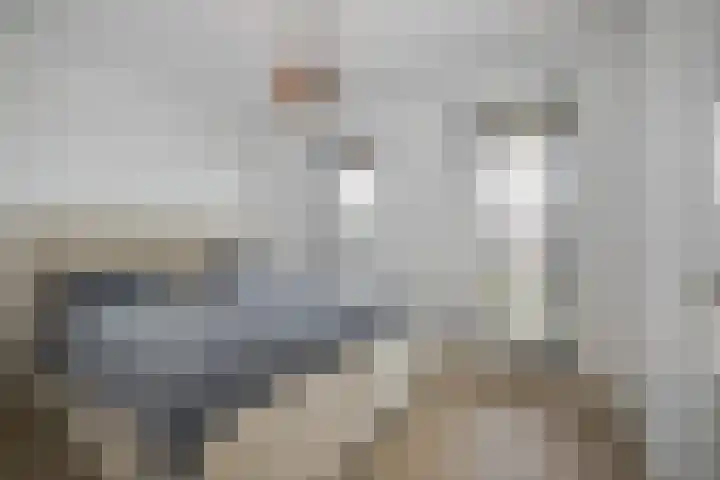Polderlaan 17 Leimuiden thumbnail 28