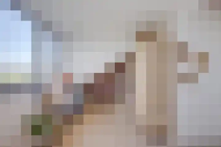 Polderlaan 17 Leimuiden thumbnail 38