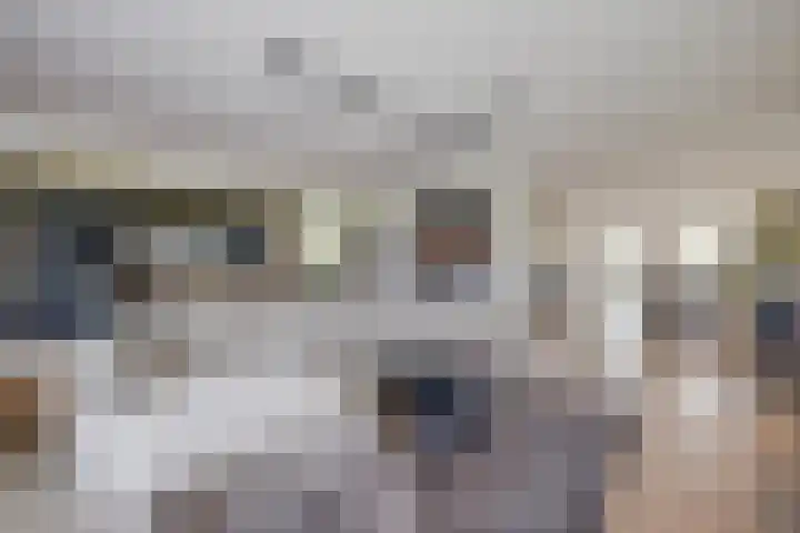 Polderlaan 17 Leimuiden thumbnail 4