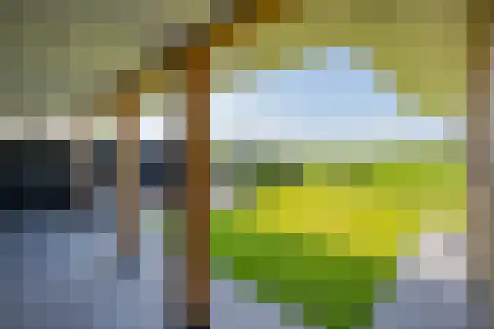Polderlaan 17 Leimuiden thumbnail 40