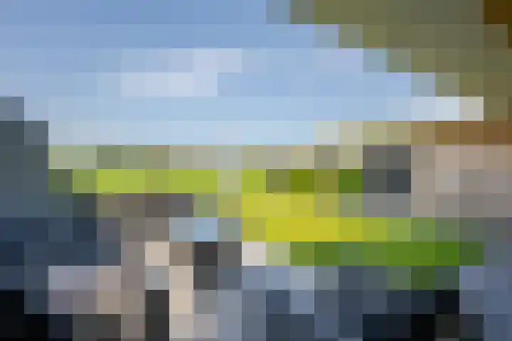 Polderlaan 17 Leimuiden thumbnail 43
