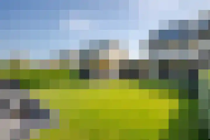 Polderlaan 17 Leimuiden thumbnail 45